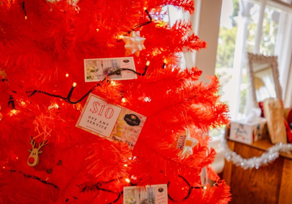12 Days of Giveaways: A Closer Look at the Prizes!